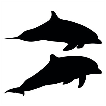 Black Animal Dolphin Vector illustration
