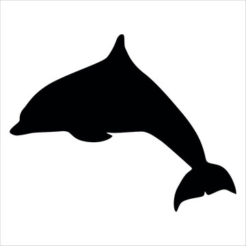 Black Animal Dolphin Vector illustration