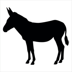 Animal Donkey Silhouette Vector illustration
