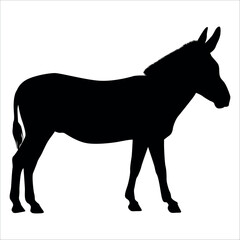 Animal Donkey Silhouette Vector illustration