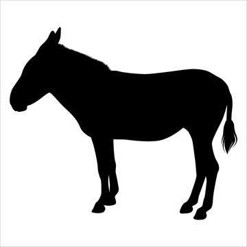 Animal Donkey Silhouette Vector illustration