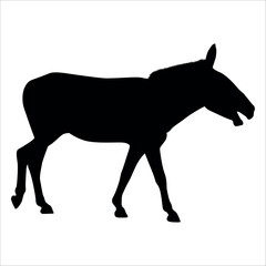 Obraz premium Animal Donkey Silhouette Vector illustration