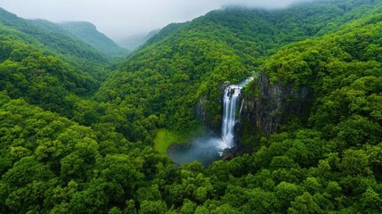 Aerial view of lush green valley waterfall. Nature landscape for travel brochure
