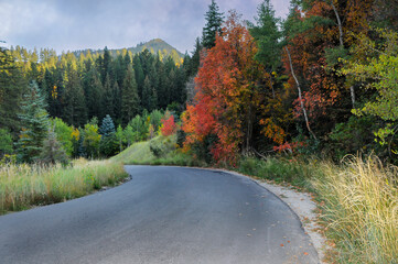 curvy road in autumn in the mountains