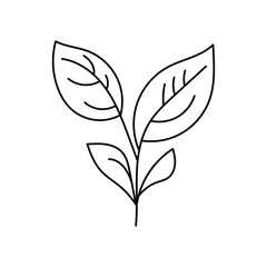 Leaf icon logo design template isolated illustration