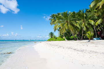 Beach landscape in the Dominican Republic, Saona Island