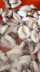 Squid tentacles in ice at the fresh market