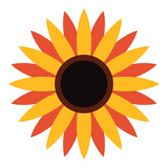 Cute colorfull flowers vector