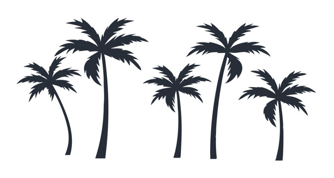 Tropical Palm Trees Silhouette Collection Design Elements for Summer Vacation and Travel