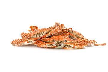 Steamed Blue Crabs on the white background