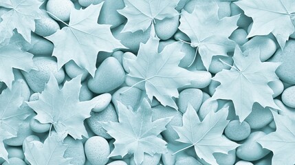 Serene Aqua Maple Leaves and Stones Background
