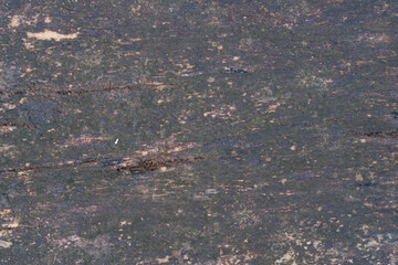 Old wood texture for background. Used wood texture.