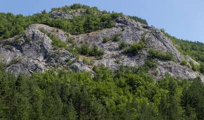 Rhodopes, are a mountain range in Southeastern Europe. Bulgaria. Panorama. The forest area covers the mountains.
