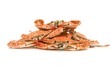 Steamed Blue Crabs on the white background