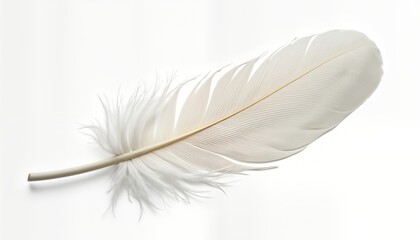 Obraz premium Soft white feather against pure white background. Detailed feather structure shows delicate, light texture. Feather design ideal for fashion, nature, beauty themes. Represents purity, lightness.