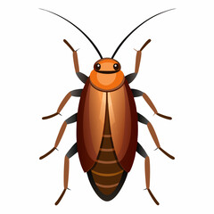 cockroach isolated