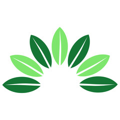 Green leaves vector