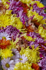 colorful flowers background