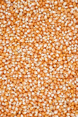 Corn seeds for background