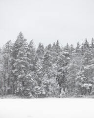 Snowy day in Meiko
