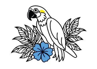 illustration parrot vector 