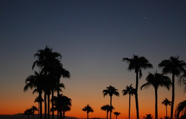 Obraz premium Palm Springs California Sunset