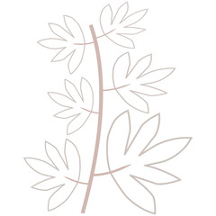 Aesthetic plant vector for decoration