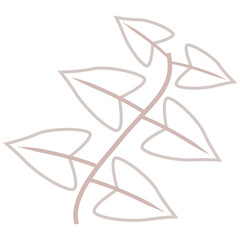 Aesthetic plant vector for decoration