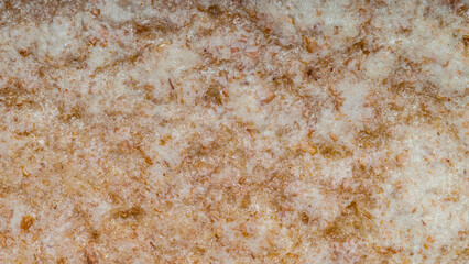 Close-up texture of a whole wheat tortilla. The surface shows the fibrous and rustic details typical of this healthy and nutritious flatbread made from whole grains.