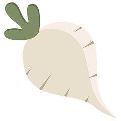 White radish vector