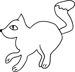 the cat raised its tail and stands with one paw raised