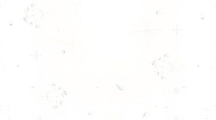 white paint background