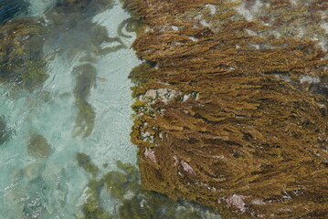 Kangaroo Island—Australian third largest—is regularly listed as one of the best islands in the world and is known for its fantastic beaches, authentic food-and-drink experiences, wild and untamed land