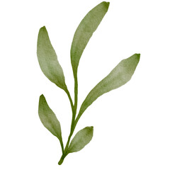 Green Leaves Watercolor