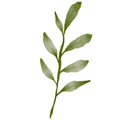 Green Leaves Watercolor