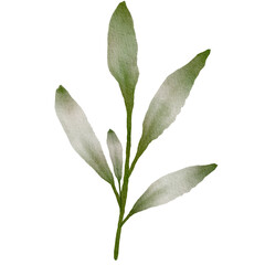 Green Leaves Watercolor