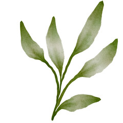 Green Leaves Watercolor