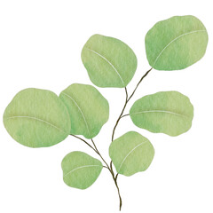 Green Leaf  Watercolor