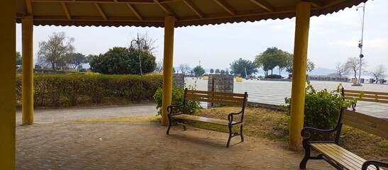 Obraz premium Tree Landscape Sky Blue beautiful nature View Park