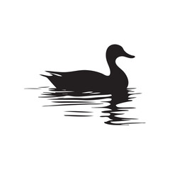 two ducks on a water
