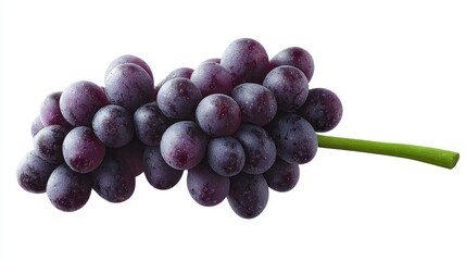 Fototapeta premium Fresh dark grapes, studio shot, white background, healthy food
