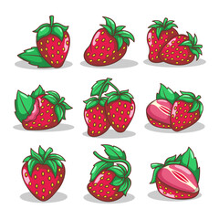 hand draw strawberry fruit illustration art