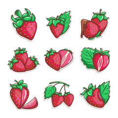 hand draw strawberry fruit illustration art