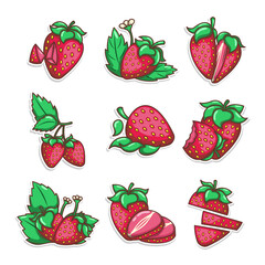 hand draw strawberry fruit illustration art