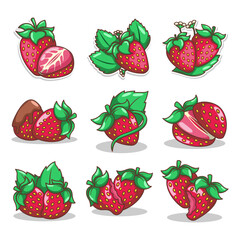 hand draw strawberry fruit illustration art