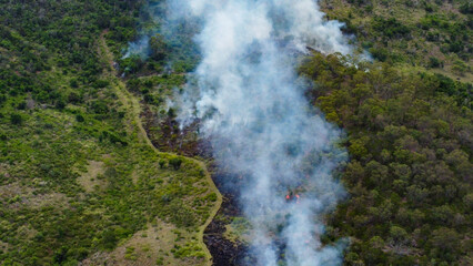 Aerial View of Controlled Burn in a Grassland Area with Smoke Rising into the Sky  