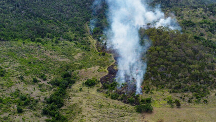 Aerial View of Controlled Burn in a Grassland Area with Smoke Rising into the Sky  