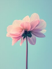 Soft pink flower standing tall against a pale blue background during daylight. Generative AI