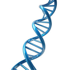 dna strand