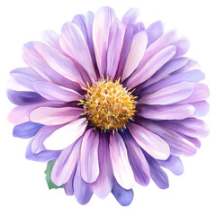 Fototapeta premium Beautiful Purple Flower in Watercolor Style with Delicate Petals